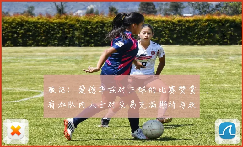 狼记：爱德华兹对三球的比赛赞赏有加队内人士对交易充满期待与欢欣